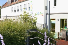 lavendel-von-rechts